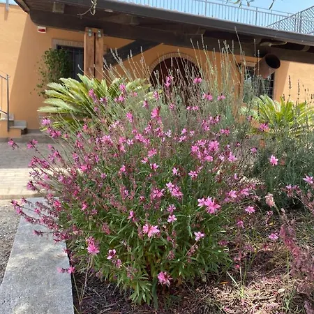 Agroturismo Agriturismo Il Borghetto